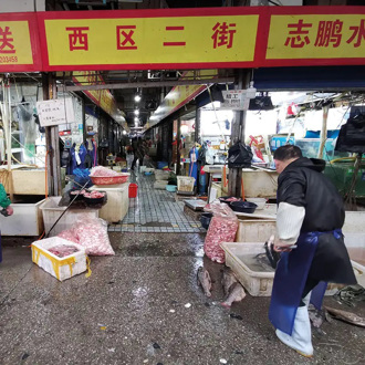 新研究認定  華南海鮮市場就是新冠爆發點
