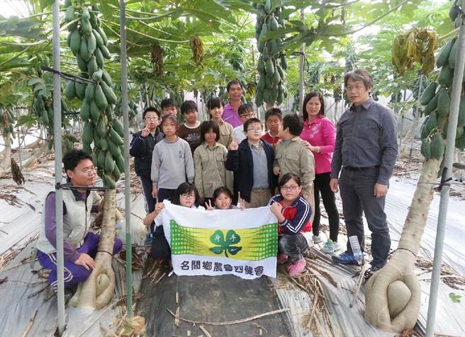 名間鄉農會四健會特前往參觀林浚宇（左一）的木瓜園。（南投縣政府提供）