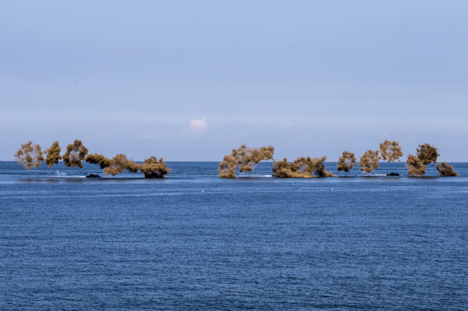 汉光38号演习28日上午在屏东加禄堂海边演练联合登陆作战，陆战旅、海、空军编成联合两栖特遣部队，採攻击军态势实施两栖突击作战，陆战队官兵搭乘AAV7两栖突击车登陆施放反红外线烟幕弹掩护。（黄子明摄）