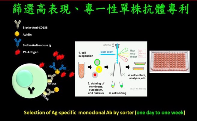 羊驼生产单域抗体运用于分辨新冠病毒、A型及B型流感与呼吸道融合病毒的快筛试剂成果。(照片/东海大学提供)