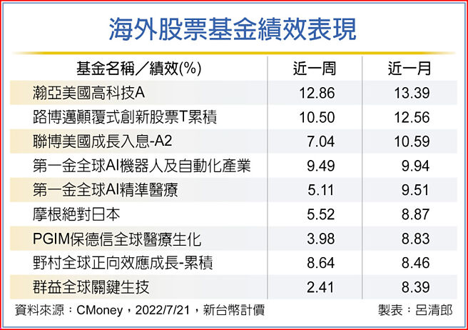 海外股票基金绩效表现