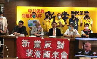 裴洛西可能訪台 新黨表態反對：民進黨置台灣於險境