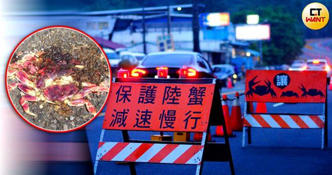 屏东县垦丁国家公园管理处及相关单位配合陆蟹生育周期，进行部分地区封路与道路缩减，但层出不穷的路杀事件仍不停上演。(图／报系资料照)