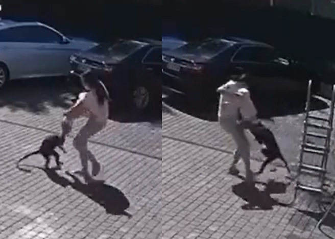 2歲的難民女童和同伴玩耍時，突然遭到野生潑猴攻擊，26秒驚險畫面不斷在網路上瘋傳。（示意圖／達志影像）