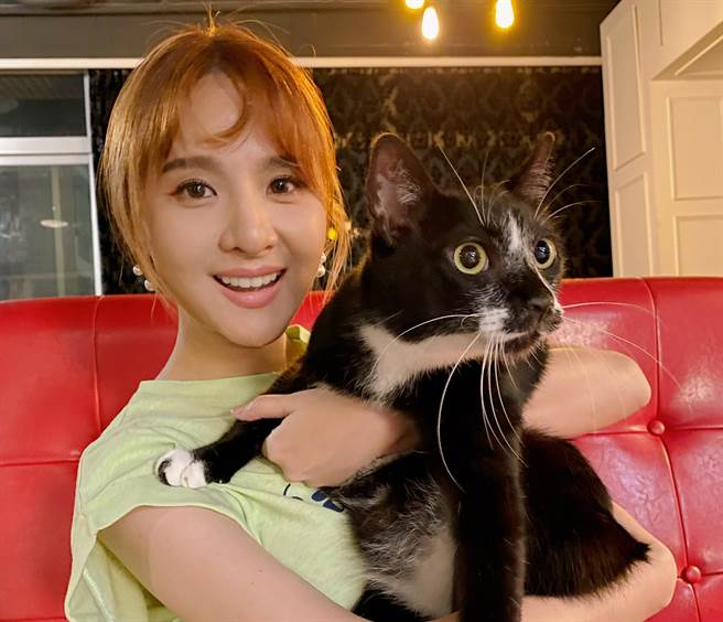 郭静盼藉由展览唤醒大眾对流浪动物的关注。（星动娱乐创意提供）