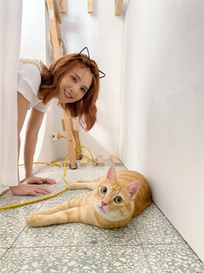 郭静盼藉由展览唤醒大眾对流浪动物的关注。（星动娱乐创意提供）