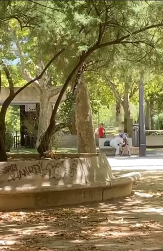 一旁则是大人、年轻人和孩童来回经过，他们似乎无动于衷。(图/截自推特)