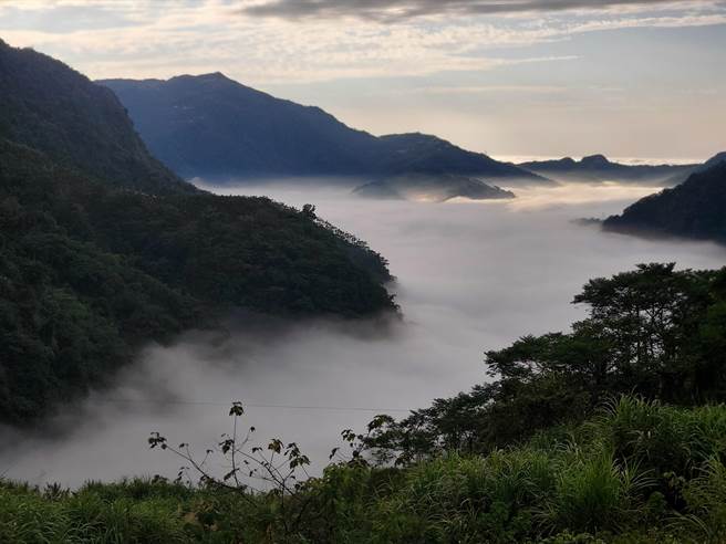 云林县府4年来对古坑乡山区景点投入多项基础建设，大草岭山区观光风华再现，县府盼取得国家风景区身分，图为草岭隧道旁的云海美景。（周丽兰摄）