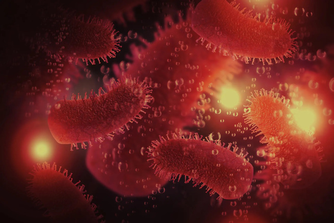 电子显微镜下的狂犬病病毒，它的致死率极高，仍需要有效而便宜的疫苗。(图/New Altas)