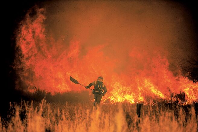 气候变迁害惨德国图╱美联社