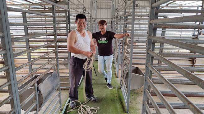 廖彬兴（白衣者）靠着自己摸索累积的30年经验，协助其他同业及兽医师替鹿只完成检疫防治的工作。（新北市动保处提供）