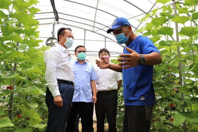 谢姓农民无奈表示，希望民眾不要购买赃物，农民心血被窃取贱卖损失很惨重，疾呼嫌犯别再做这种事。（嘉义县政府提供∕吕妍庭嘉义传真）