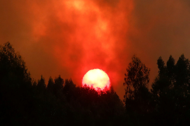 葡萄牙2017年野火奪走100多條人命的陰影猶存，今年7月初的高溫也引發一系列火災。(圖／路透社)