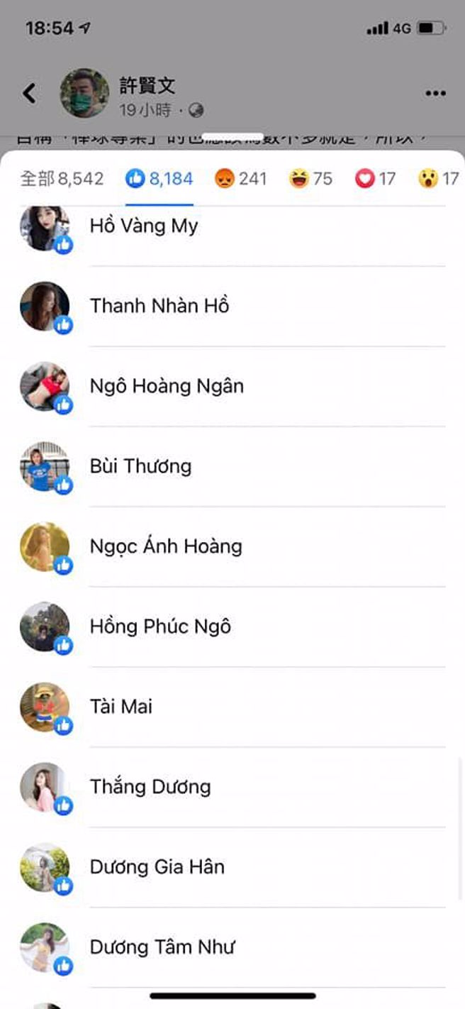 網友發現許多越南女子帳號湧入貼文按讚，質疑有網軍蓄意操作。（圖／翻攝臉書）