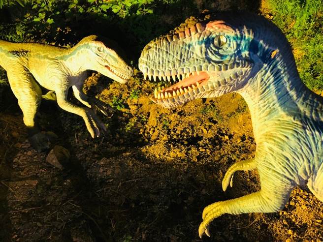 2022金门星光节今晚在在西洪营区璀璨登场，缤纷五彩掩映星球谜航、侏儸纪地景。（金门县府观光处提供）