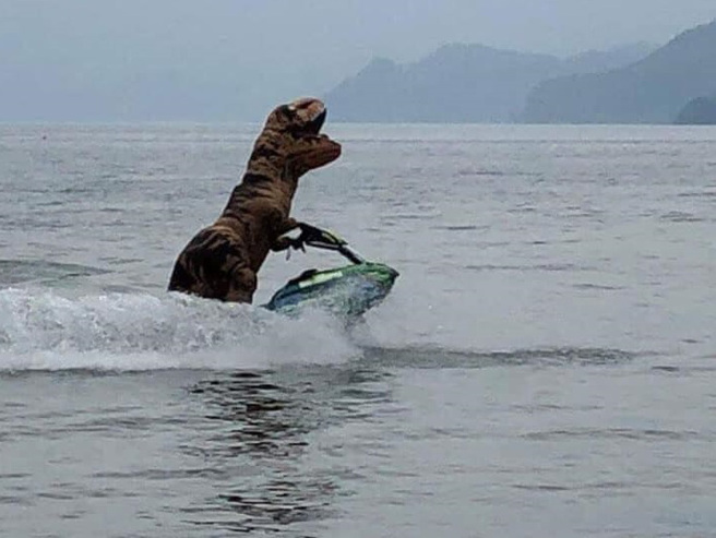 男子拍下穿恐龍裝的民眾騎水上摩特車表演特技，精湛的動作也讓網友相當佩服。（翻攝自臉書爆廢公社二館）