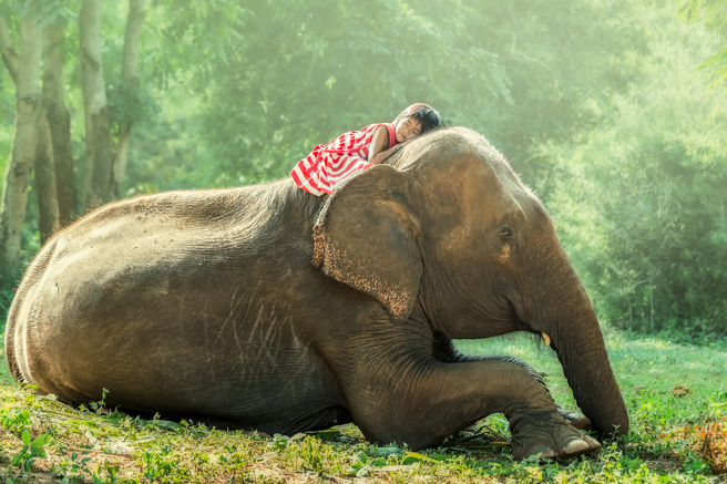 泰國11歲女童與大象發展出超越物種的感情，她甚至每天騎乘大象去上學，同學看了全嚇傻。(示意圖/達志影像)