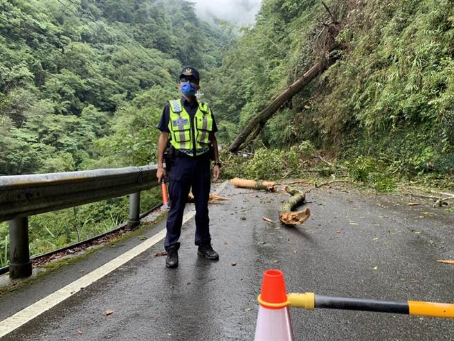 台8线69.3K德基路段2日发生上边坡树木倒塌，造成道路双向受阻，目前已抢通。（民眾提供／陈淑娥台中传真）