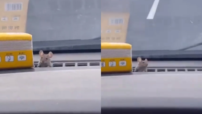 一名网友分享自己开车时惊见除雾口有老鼠。（翻摄自爆废公社公开版脸书）