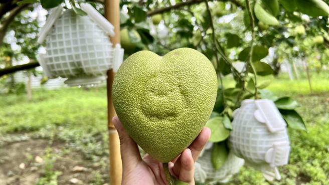 另一边则烙印出麻豆区农会「柚儿」吉祥物的图案。（张毓翎摄）