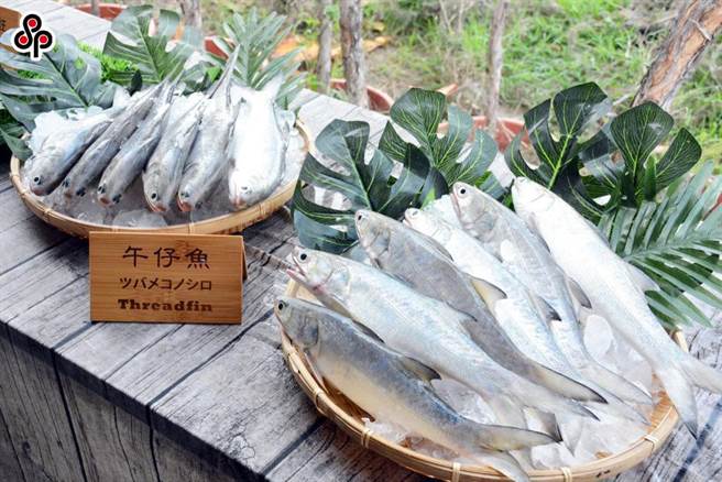 中国大陆宣布即日起暂停部分食品及渔船等食品销陆。（执系资料照）