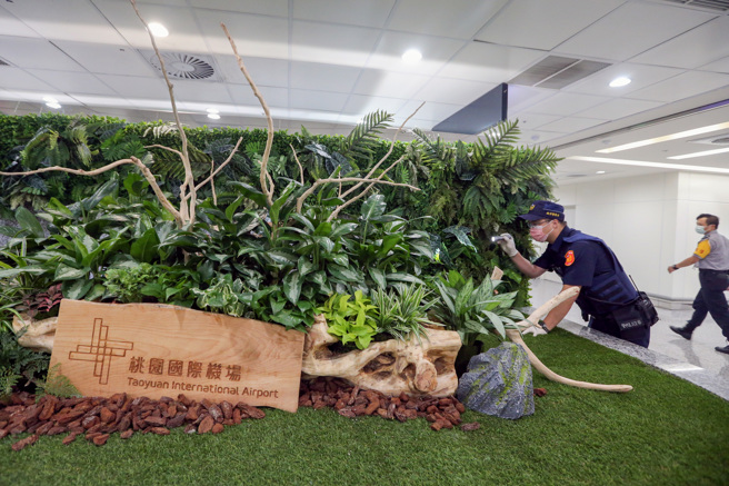 美国联邦眾议院议长裴洛西访台前夕，桃机公司接获恐吓信，表示将「放3枚爆裂物」，航警局获报后，立即组成专案小组追查恐吓信件来源，桃机公司与航警局也派出保全人员与员警，在桃机公共区域加强不明物检查搜索，航警局特警也荷枪实弹巡逻。（陈麒全摄）