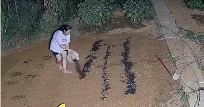 监视器画面可见，这名人妻从晚上7点多直到10点多，都在家门口的土地里干活。（图／翻摄自搜狐网，下同）