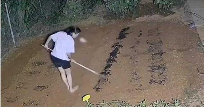 有网友也表示希望能有一块小小的地，可以让自己种点什么。