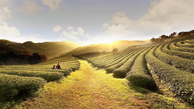 清莱是泰国北部的首府，地处泰国、老挝、缅甸三国交界处，别具异国风光。（泰国观光局提供）