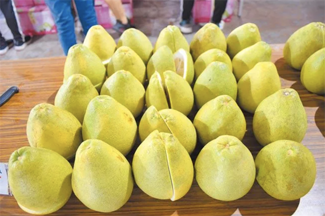 全台销往大陆的文旦柚中，花莲瑞穗乡占一半，由于大陆海关总署今早宣布，即起暂停台湾柑橘类水果等农产品输入大陆，文旦柚恐面临滞销问题。（报系资料照）