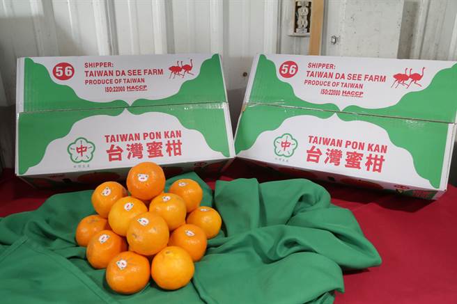 嘉縣椪柑產量3萬2900噸，外銷量僅840噸，以大陸、香港和加拿大為主，其中香港是外銷最大宗。（取自嘉義縣政府官網∕呂妍庭嘉義傳真）