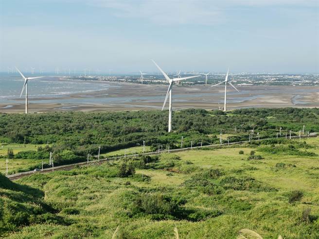 苗栗县后龙镇1341号保安林具有防风固砂功能。（谢明俊摄）