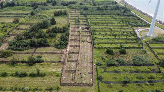 新竹林管处与民营公司一起合办认养栽种海岸林木活动，认养林地有0．57公顷。（友信行公司提供／谢明俊苗栗传真）