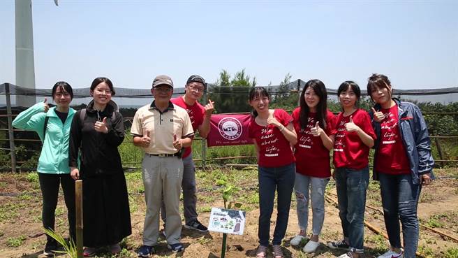 新竹林管处与民营公司一起合办认养栽种海岸林木活动。（友信行公司提供／谢明俊苗栗传真）