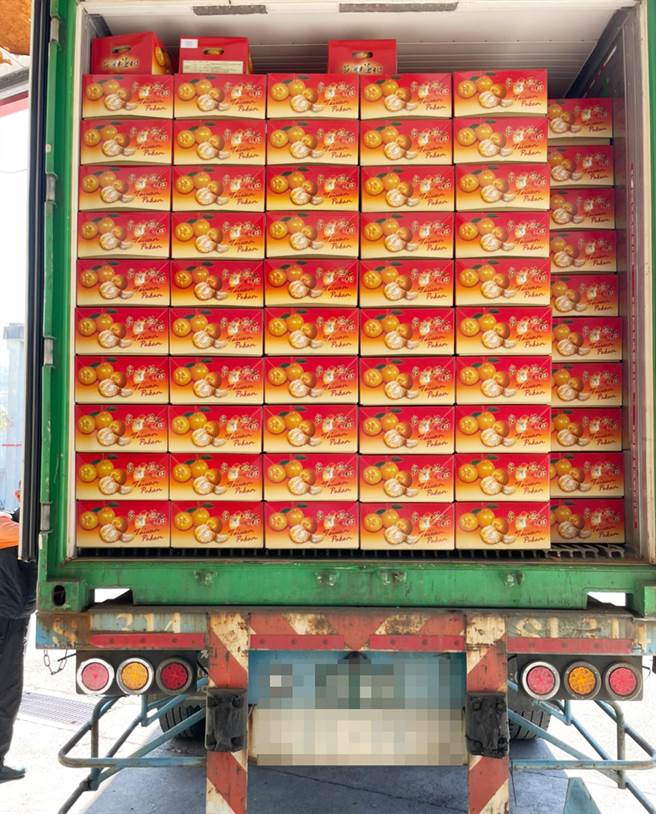 台中市柑橘种植面积2502公顷，品质优良稳定，外销东南亚等国为大宗。（丰原区农会提供）