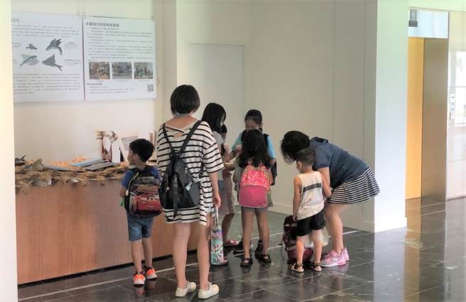 飞鱼神的挑战解谜活动，民眾将可以扮演勇者在大厅探索并找出飞鱼神的宝藏，深受亲子欢迎。（史前馆提供／蔡旻妤台东传真）