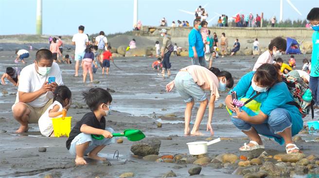 「大安海觀光推廣活動」，推出多場搏海職人體驗、安心迴游生態之旅及風箏衝浪競賽。（台中市政府提供）