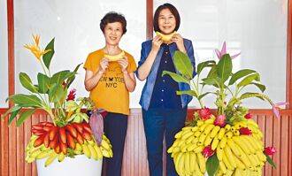 屏東香蕉研究所創意盆栽 詢問度爆表