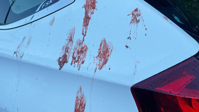 一名男网友抱怨，今早出门发现爱车被泼红褐色不明液体，乍看之下宛如槟榔汁，没想到竟然是鸟的粪便。（图／翻摄自爆怨公社）