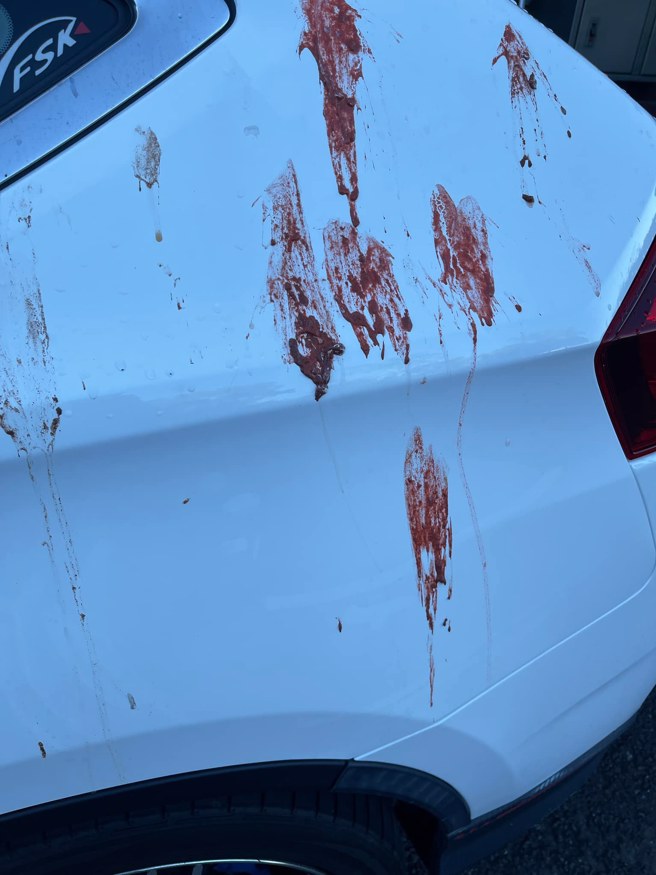 原PO的爱车遭鸟屎攻击。（图／翻摄自爆怨公社）