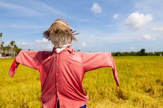日本田边出现护理师造型的稻草人，乍看之下宛如真人，把所有人都吓了一跳。(示意图/达志影像)