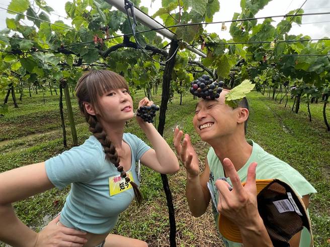 短今（左）与浩子体验採葡萄，却不断歪楼制造笑点。（民视提供）
