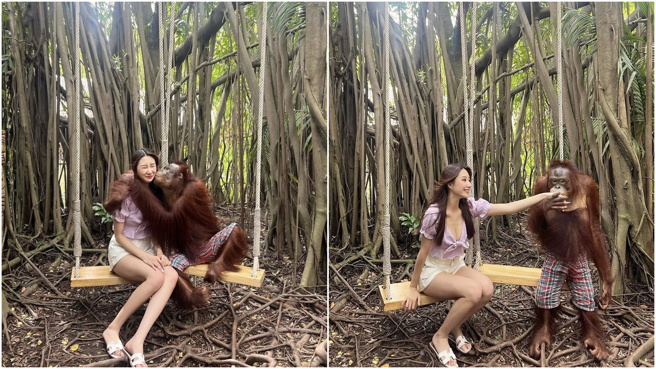  Wendy整被红毛猩猩亲昵地拥抱、强吻，个招架不住。(图/ Wendy IG)