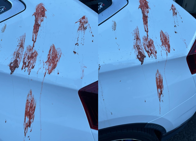 男子要开车出门吃早餐，岂料，竟发现爱车遭红色鸟屎攻击。（翻摄自脸书爆怨公社）