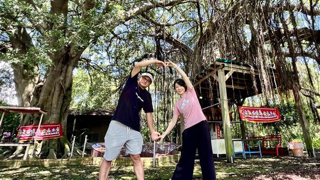 台南市后壁区乌树林休閒园区有一对百年夫妻树，今日是七夕，吸引不少家庭或情侣来探访、拍照。（张毓翎摄）