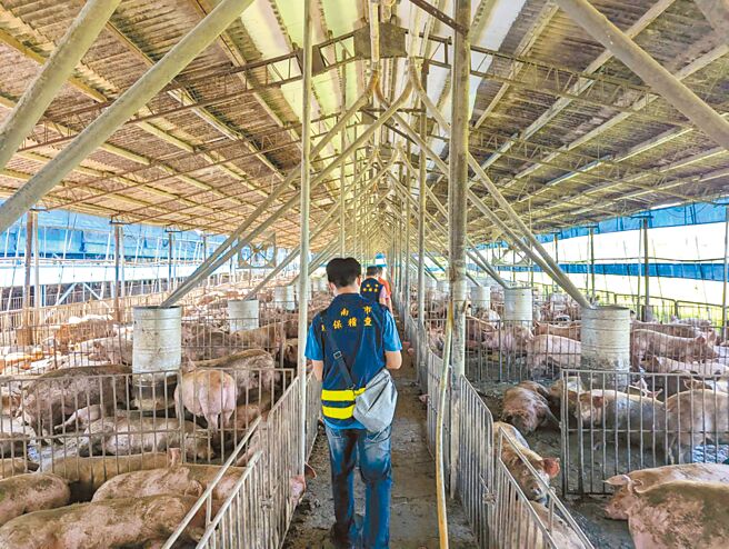 台南市善化區胡厝里近來夜間經常傳出惡臭，市府環保局歷經2個多月稽查，終於揪出禍首的傳統養豬場。（環保局提供／洪榮志台南傳真）