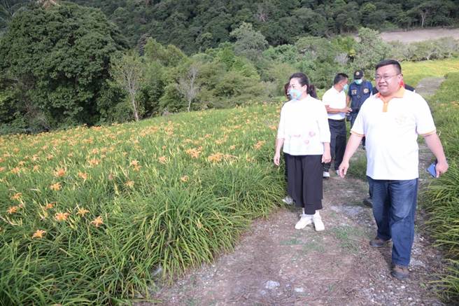縣長徐榛蔚昨走訪金針山區了解花況。（花蓮縣府提供）