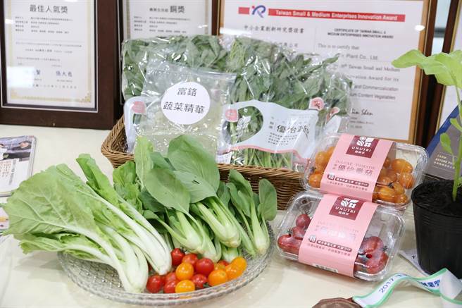 国立中兴大学育成厂商智耕创新股份有限公司，成功栽培产出天然机能高单位铬元素蔬果，可以从饮食中获取。（兴大提供／张妍溱台中传真）