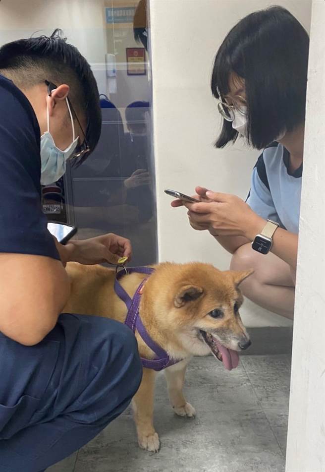 警方利用动物晶片扫描器，成功找到主人资讯。(翻摄照片／林郁平台北传真）
