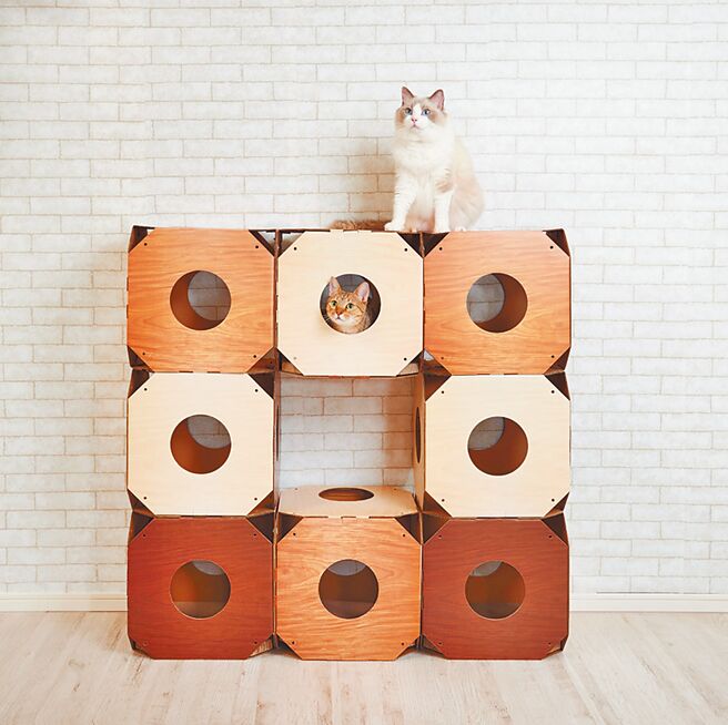 組合式隧道貓抓板以蜂窩式構造，讓貓咪開心玩藏。一組二入，官網特價1280元。（鎧帛寵物提供）